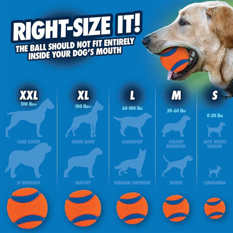 Chuckit Ultra Ball Dog Toy for pet