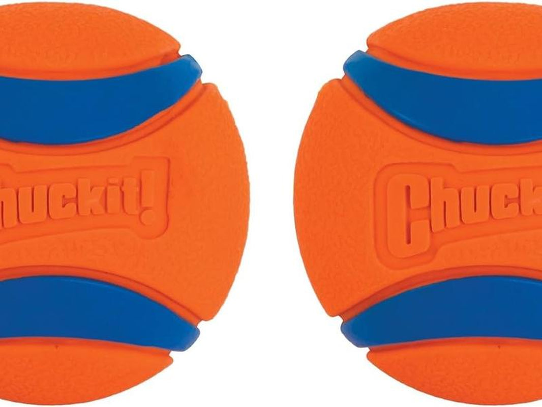 Chuckit Ultra Ball Dog Toy for pet
