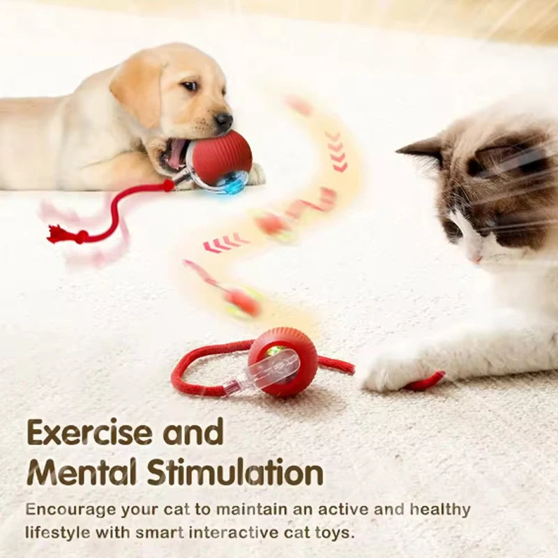 Cat Toys Cat Smart Cat Balls to Help Relieve Boredom Kitten Avoid Toys Pet Electric Rolling Ball Artifact