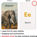 Award-Winning Alphabet Flash Cards for Kids Ages 2-4 – Learn Abcs, Phonics & Speech – Upper & Lowercase Letters, Photo Images – Preschool, Pre-K, Kindergarten