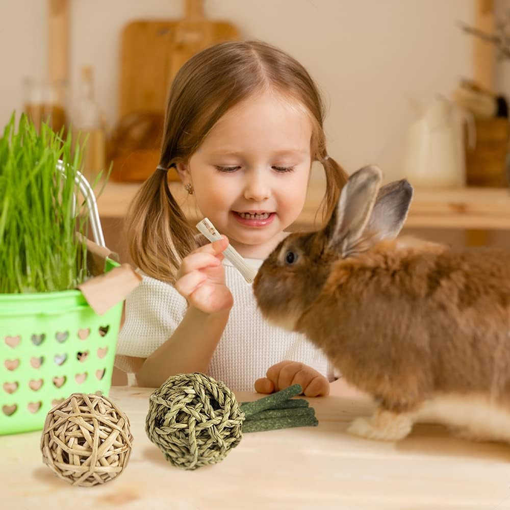 Rabbit Toys Bunny Guinea Pig Toys 